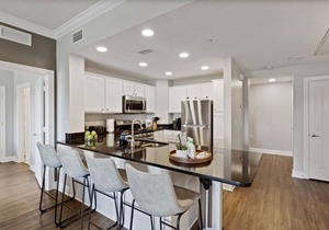 Modern 3-bed, 2-bath condo minutes from Disney!
