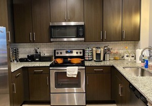 Modern Atlanta Oasis