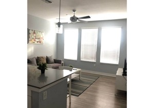 Modern, Luxury APT in Ybor City w/Trolly Access