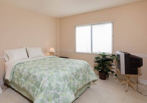 NEW LISTING - Directly Across from Bonita Beach – Free Wi-Fi – Sea Isles Condo