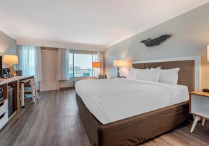 Newly Renovated - Winter the Dolphins Beach Club Ascend Hotel Collection
