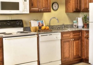 One Bedroom Condo, Ormond Beach 1851342