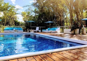 Orchid Estates