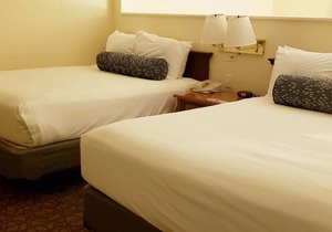 Perfect Location for Family Getaway! Two Spacious Rooms, Outdoor Swimming Pool