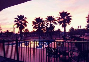 Quality Inn & Suites Leesburg Chain of Lakes