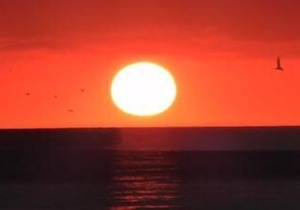 Relax in comfort at Sea Winds! Great 1 bedroom unit. Only a short walk to the beach! 2 WEEK MINIMUM