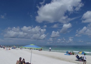 Sand Dollar W107