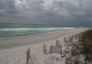 Sand Dollar W107