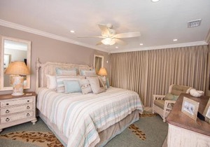 SANDDOLLAR A303