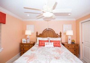 SANDDOLLAR A303