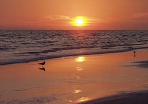 Sea Winds in Sarasota