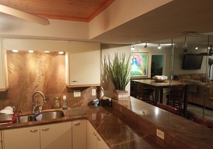 SEYCHELLES CONDOMINIUM in Daytona Beach Shores