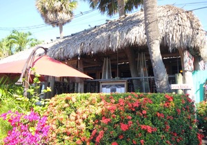Siesta Key Haven: Beachside Pool & More