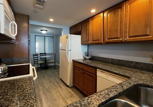 Sky High Views-14th Floor Sand Key Beachfront! Spacious 1 BR!