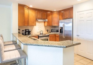Spacious Elegant Condo with Private Balcony at Reunion