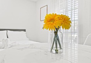 Sunset Inn-South Miami