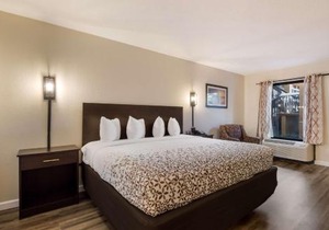SureStay Hotel by Best Western St Pete Clearwater Airport