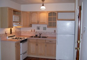 Treehouse 1BR Apt. Near Downtown, Monthly Only