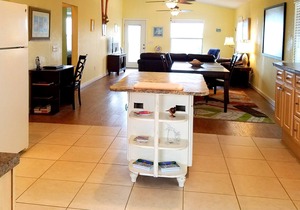 Visit Florida's nature coast - home of manatees, dolphins, eagles, and mermaids