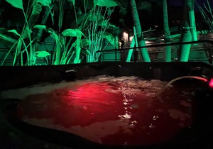 Walk 2 Downtown Las Olas/Hot-Tub