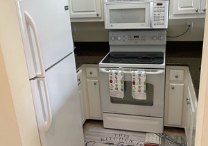 World tennis- condo