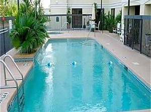 Bay Clearwater | Downtown Dunedin