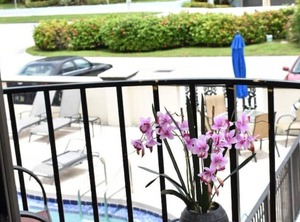 Avalon Resort | Survey Creek