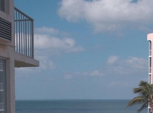 Diamond Gv Fort Myers Beach | South Island