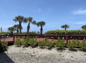 Surf Club Englewood | Englewood