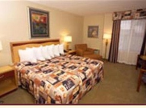 Wyndham Ocean Daytona | National Gardens