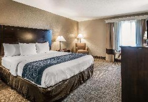 Comfort Inn Suites Deland University | DeLand