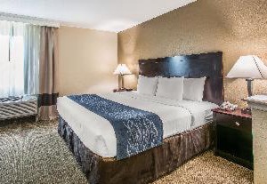 Comfort Inn Suites Deland University | DeLand