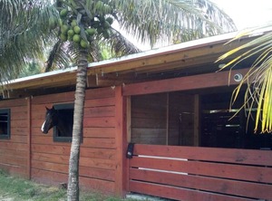 Country Civilization | Loxahatchee Groves