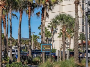 Jacksonville | Golden Glades - The Woods