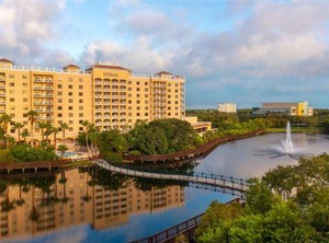 Hilton Petersburg Carillon Park | St. Petersburg - Clearwater