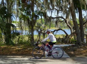 Holiday Inn Express Crystal River Ihg Hotel | Crystal River