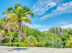The Shore Lane | Boca Grande