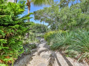 Palms | Sanibel