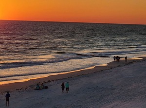 Beachfront | St. Petersburg - Clearwater