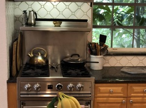 Coconut Grove | Northeast Coconut Grove