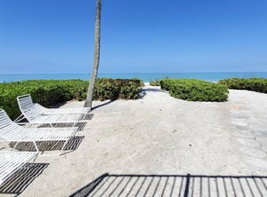 Sensation | Bonita Springs