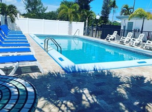 Oasis | Royal Poinciana