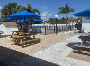 Oasis | Royal Poinciana