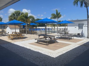 Oasis | Royal Poinciana