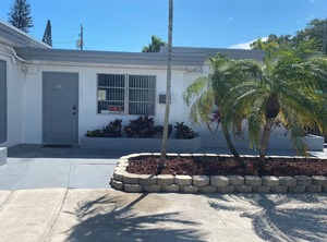 Oasis | Royal Poinciana