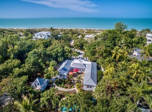 Palmflower | Captiva