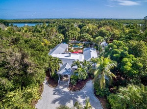 Palmflower | Captiva
