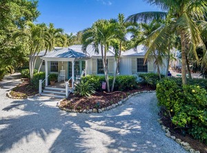 Palmflower | Captiva