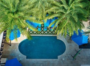Holiday Plantation | Plantation