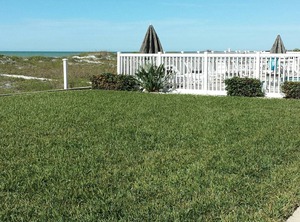 Oceanside Indian Rocks Beach | Independence Square